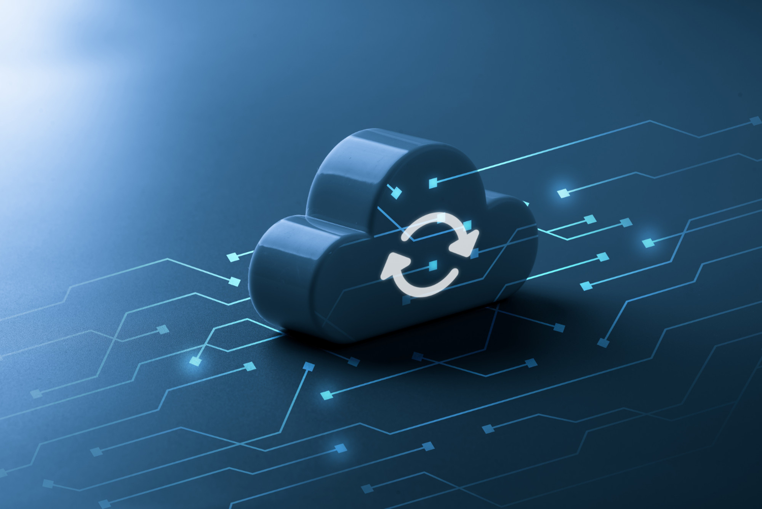 Business data report